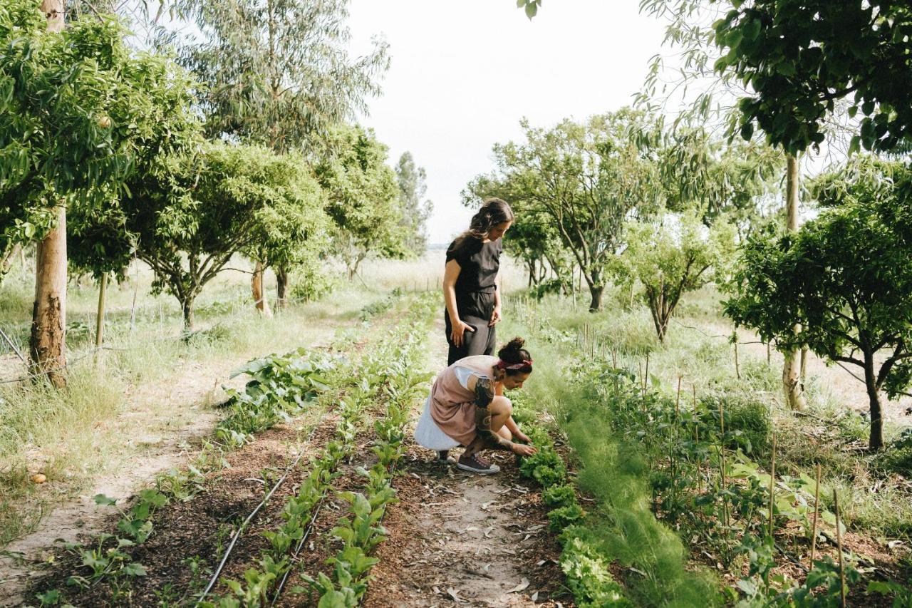 Willa Humus Farm Águas de Moura Zewnętrze zdjęcie