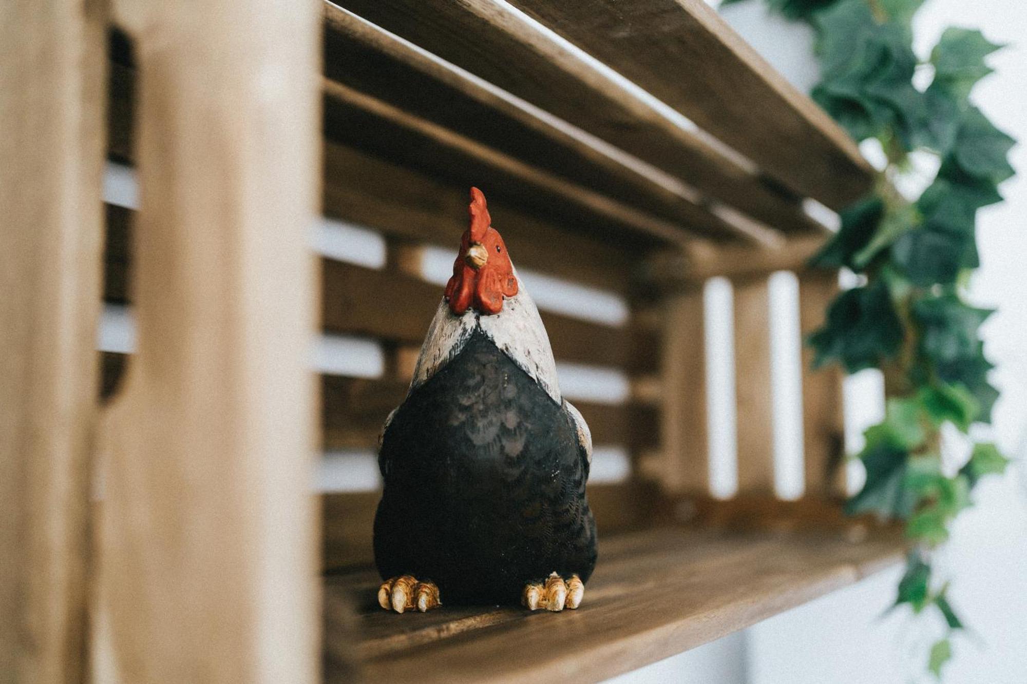 Willa Humus Farm Águas de Moura Pokój zdjęcie
